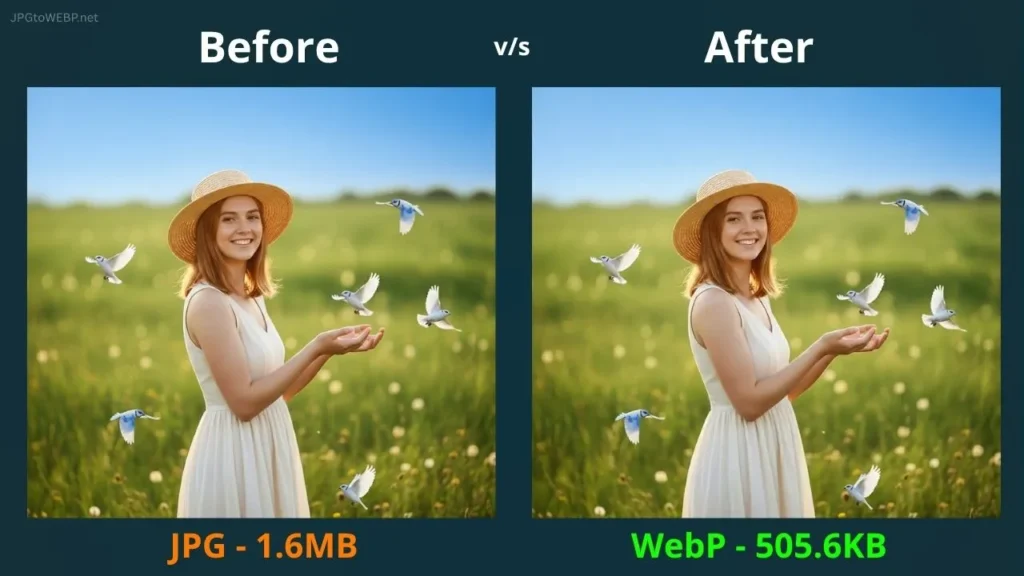JPG vs WebP Comparison